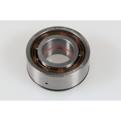 Roulement vilebrequin GASGAS 2002-2018 XIU racing haut de gamme