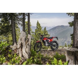 MOTO TRIAL MONTESA 4 RIDE 2025