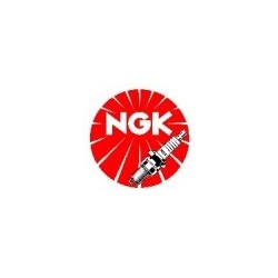 Ngk